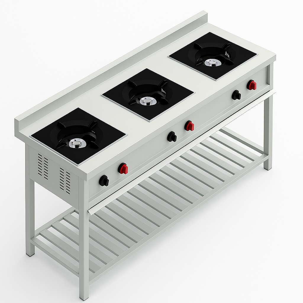 Three Burner Indian Cooking Range